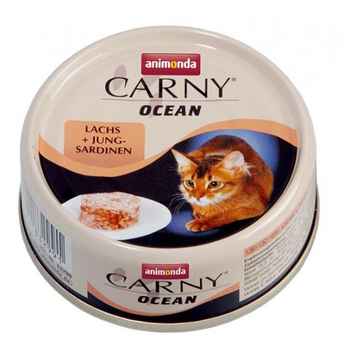 کنسرو ماهی سالمون و ساردین CARNY OCEAN مخصوص گربه بالغ/ 80 گرمی